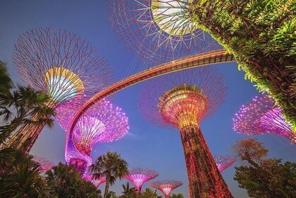 Singapore Gardens by the Bay Tickets & Transfer