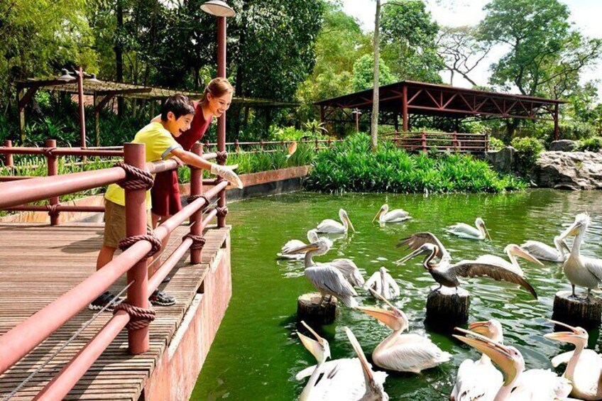 Jurong Bird Park