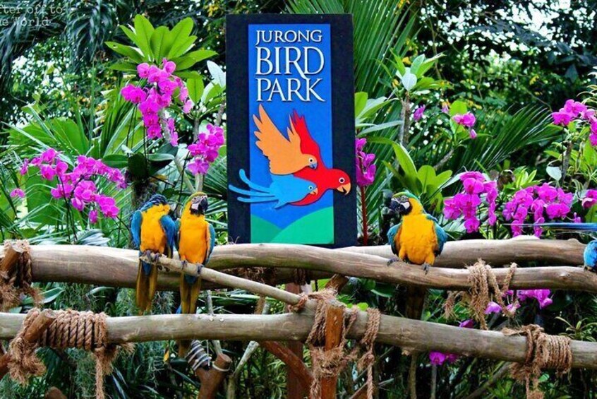 Jurong Bird Park