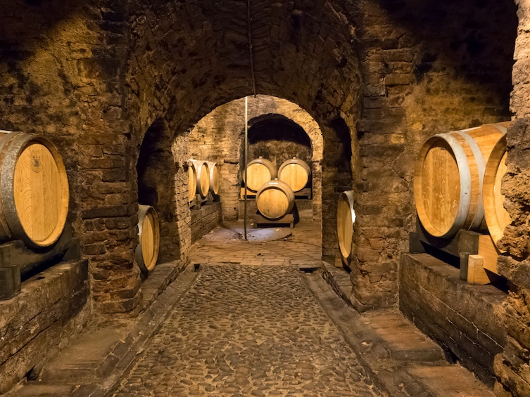 Private Tour: Piedmont Wine Tasting of the Barolo Region