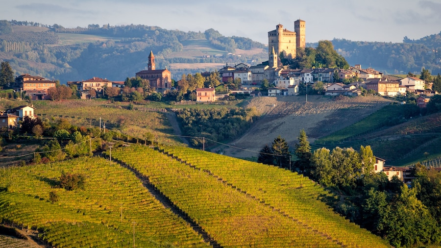Private Tour: Piedmont Wine Tasting of the Barolo Region