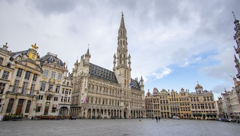 Brussels Introduction Tour with a Local