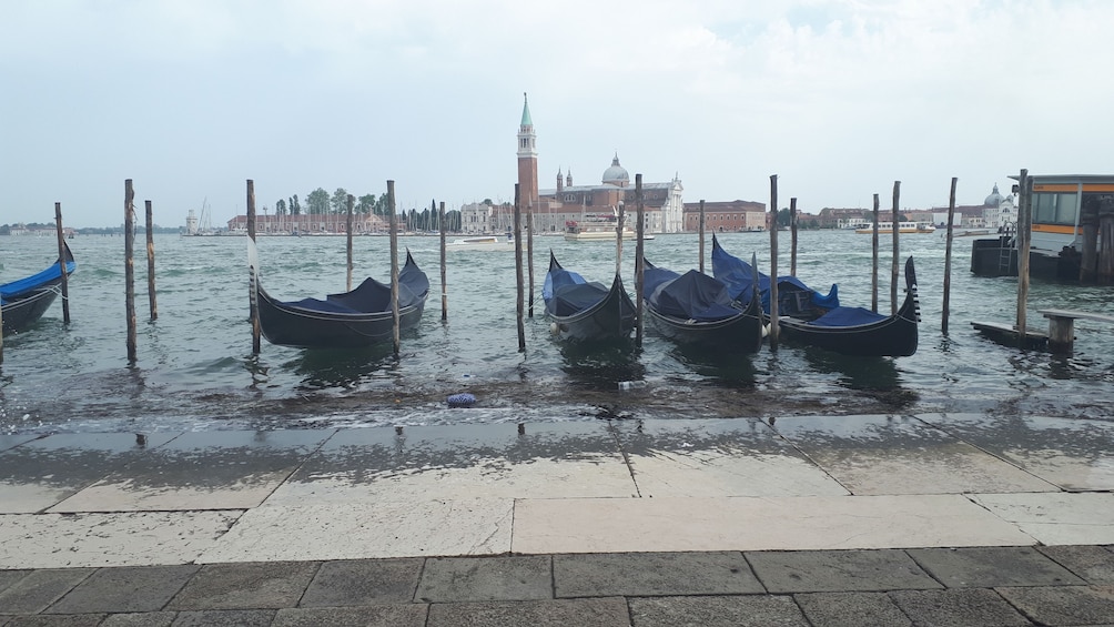 Private tour to Venice. Pick up from your hotel