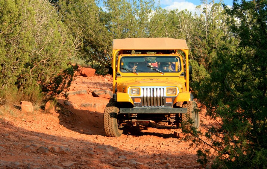 Diamondback Gulch Jeep Tour