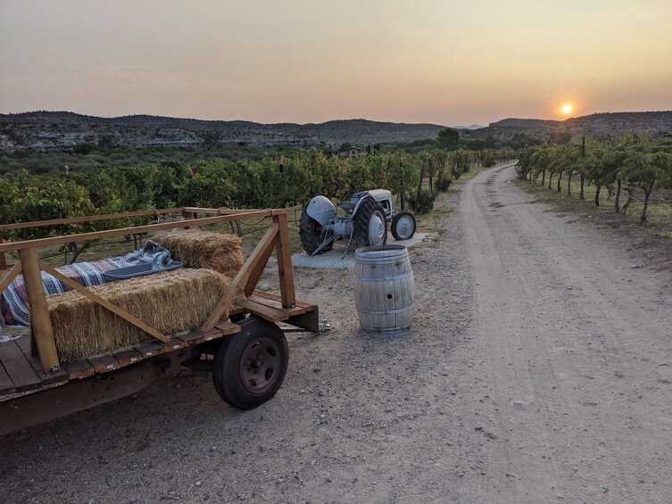Rugged Jeep & Wine Tasting Combo Tour