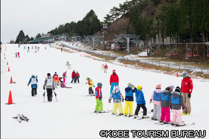 Mt. Rokko Snow Park and Arima Hot Springs Day Tour
