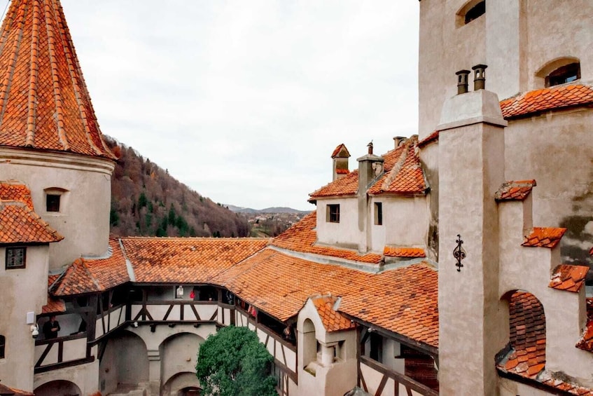 Amazing Castles Of Transylvania In One Day Trip