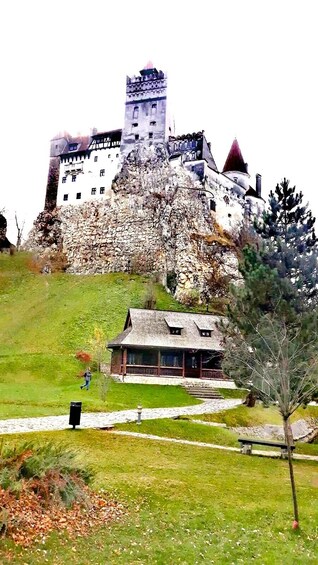Meet Dracula and the Bears in One Day Private Tour