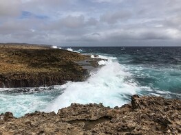 Private All-Inclusive Shete Boka National Park & Snorkeling