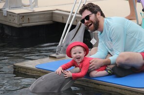 Rendezvous With a Dolphin