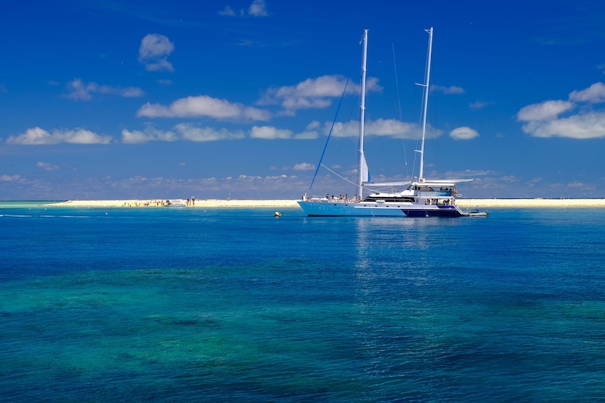 Ocean Spirit Michaelmas Cay & Reef Cruise