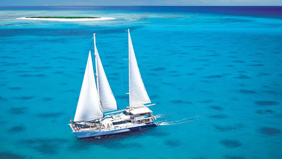 Ocean Spirit Michaelmas Cay & Reef Cruise