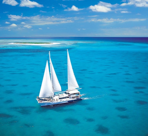 Ocean Spirit Michaelmas Cay & Reef Cruise