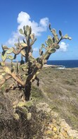 Private All-Inclusive Christoffel Park & Snorkeling