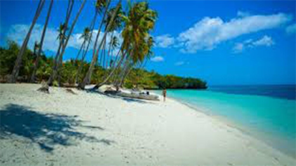 Show item 1 of 1. SIQUIJOR