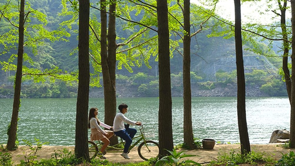 Nami Island Petit France Bus Tour