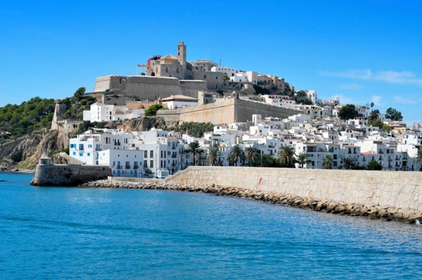 Show item 1 of 1. Ibiza City Tour