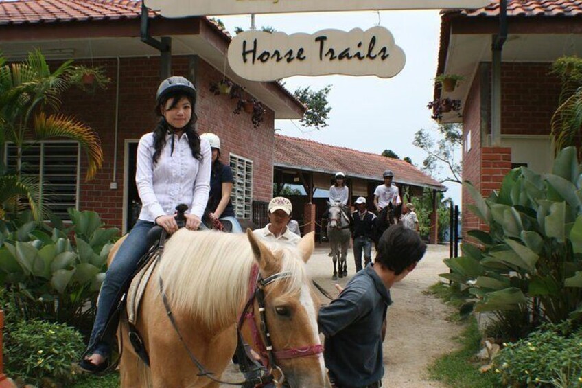 Horse Trail Rides