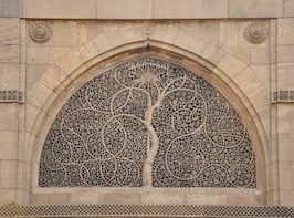 Half day tour of Ahmedabad with heritage walk of old town