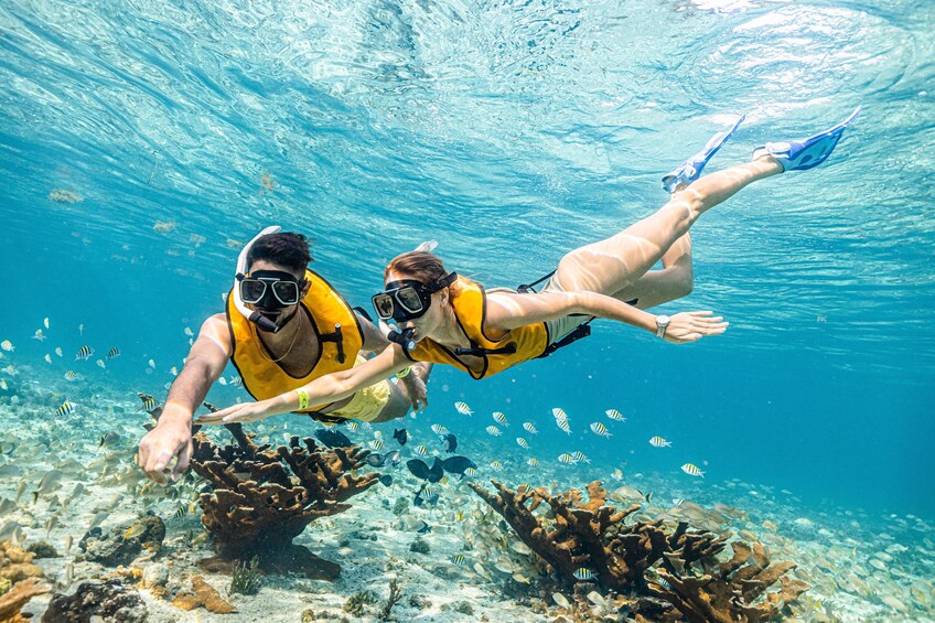 Jet Ski + Swim with Turtles Snorkeling + Parasailing Combo