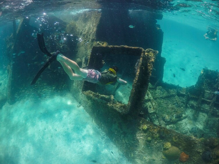 Jet Snorkel-Snorkeling with Turtles