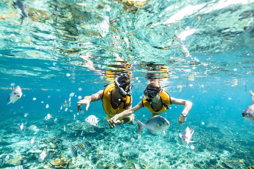 Jet Ski + Swim with Turtles Snorkeling + Parasailing Combo