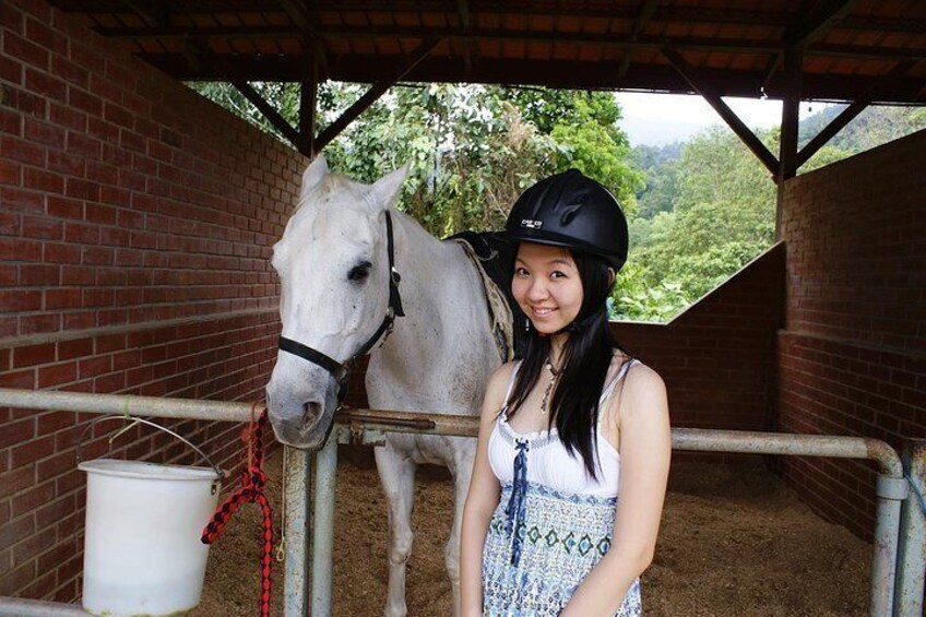 Horse Trail Rides