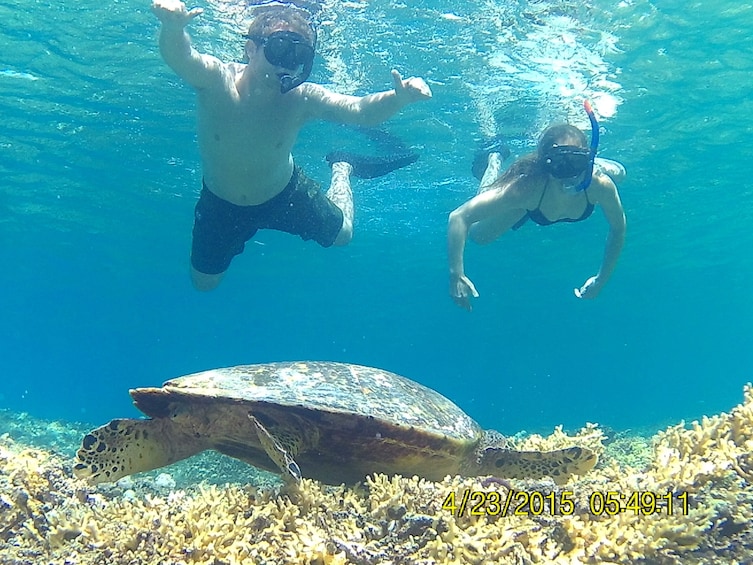Sharing Snorkeling Trip To Gili Trawangan