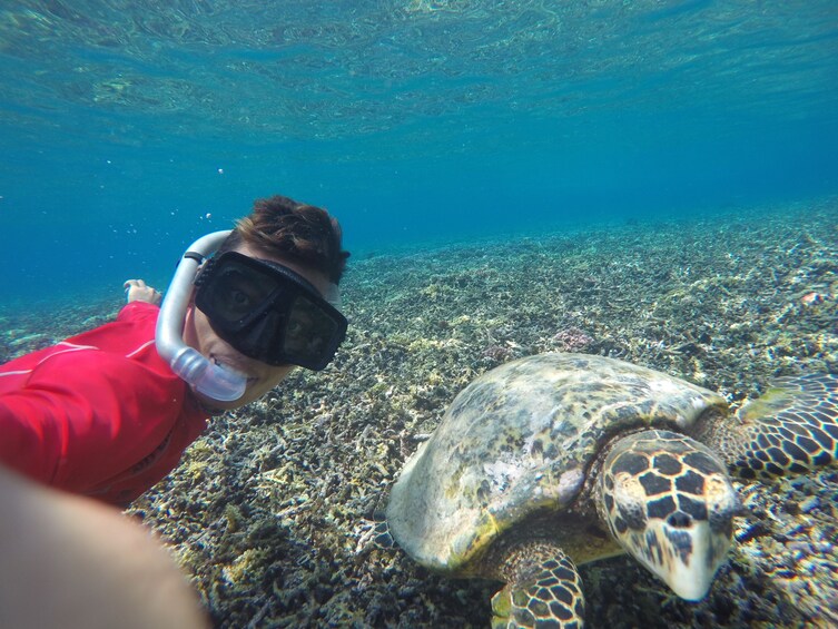 Sharing Snorkeling Trip To Gili Trawangan