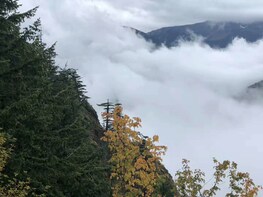 8-Day Seattle & SouthWest National Parks Tour APROYG8