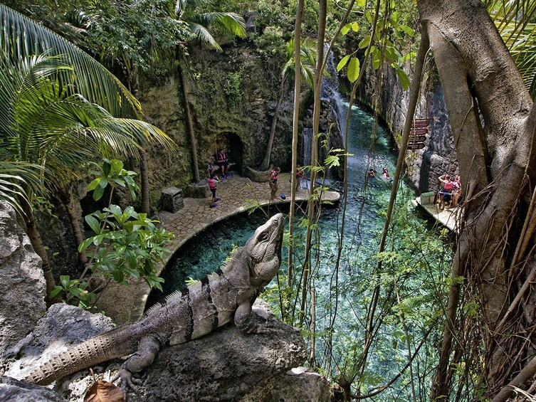 1-Day Xcaret Park Plus (cancun departure) MC1XT 