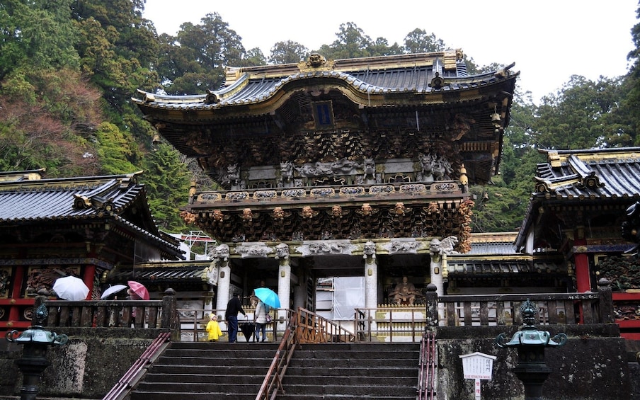 11-hour Nikko tour to/from Tokyo with Private Car
