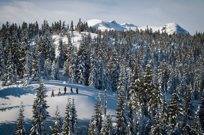 Whistler Snowshoeing Adventure 