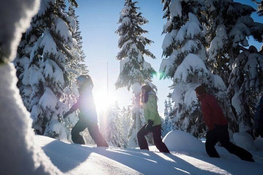 Whistler Snowshoe Tour