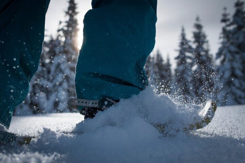 Whistler Snowshoe Tour