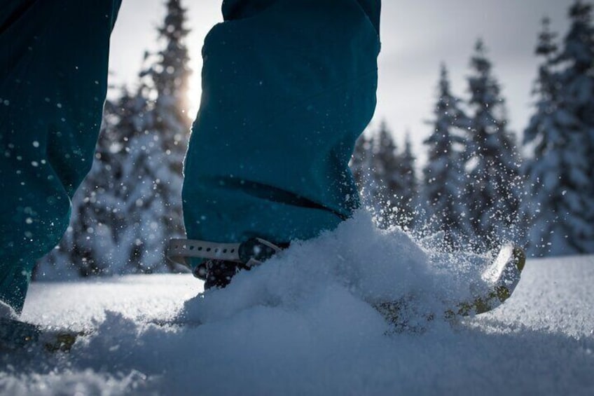 Whistler Snowshoeing Adventure