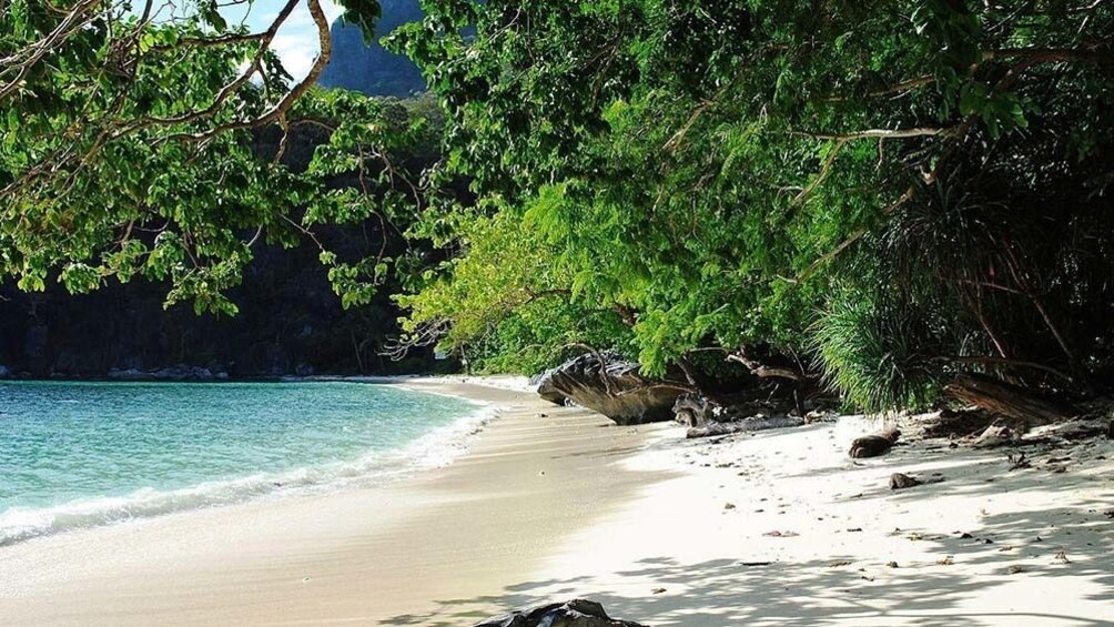 Show item 2 of 4. El Nido Island Hopping Tour D