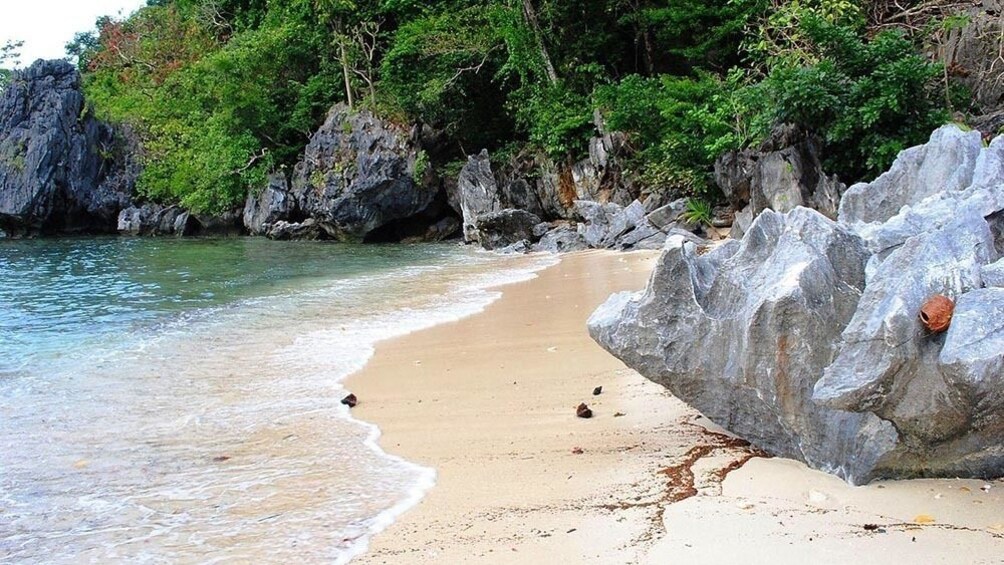 Show item 4 of 4. El Nido Island Hopping Tour D