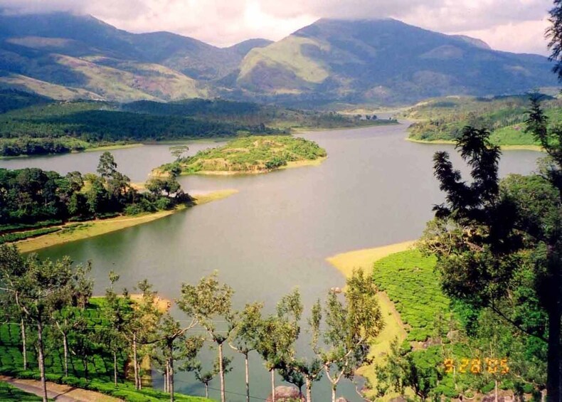 Same Day Tour Of Munnar From Kochi