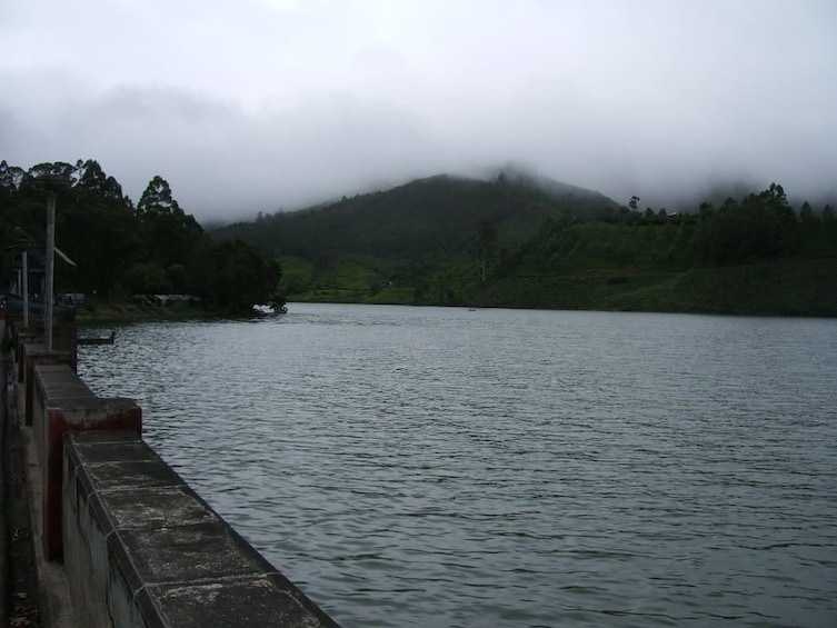 Same Day Tour Of Munnar From Kochi