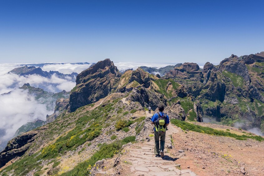 Discover Madeira - Full Day Tour to Santana