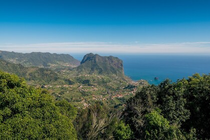 Descubre Madeira - Tour de día completo a Santana