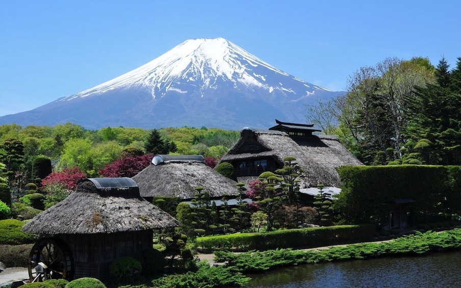 Show item 3 of 7. 8-hour Mt.Fuji & Hakone frm Tokyo to Hakone with Private Car