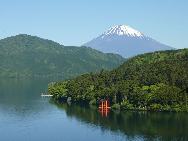 Show item 2 of 7. 8-hour Mt.Fuji & Hakone frm Tokyo to Hakone with Private Car