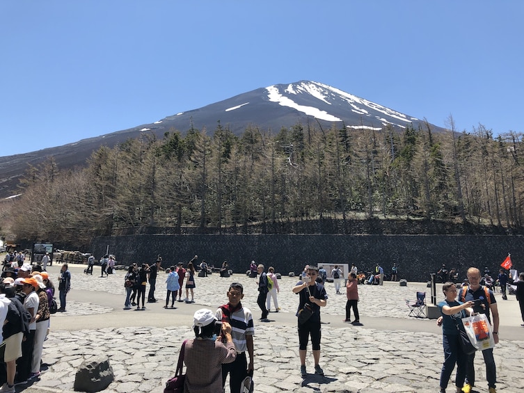 Show item 3 of 5. 9-hour Mt.Fuji tour to/from Yokohama with Private Car