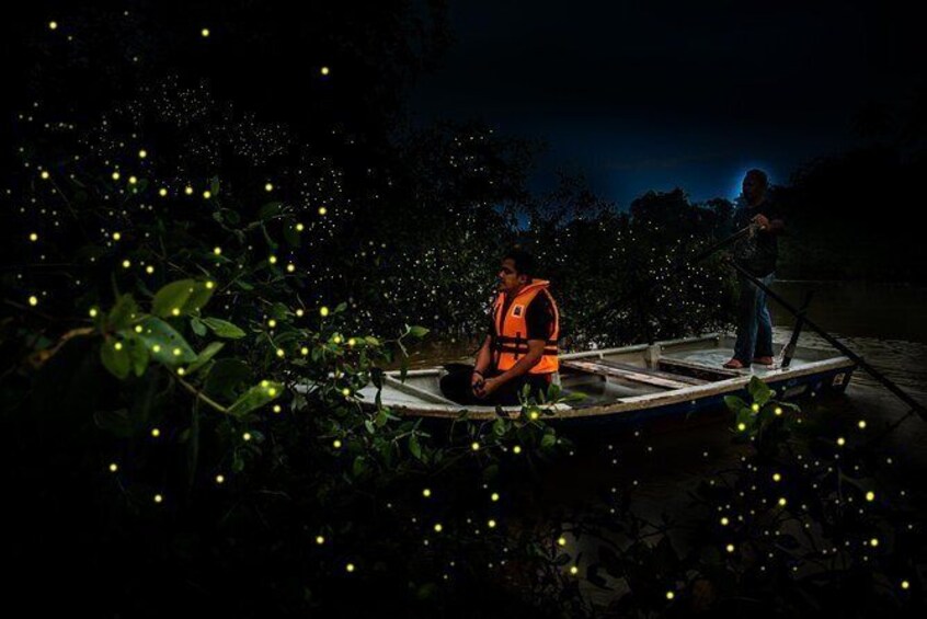 Kelip Kelip Fireflies Tour Include Seafood Dinner Boat Ride