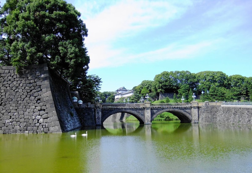 7-hour Tokyo Tour to/from Yokohama with Private car