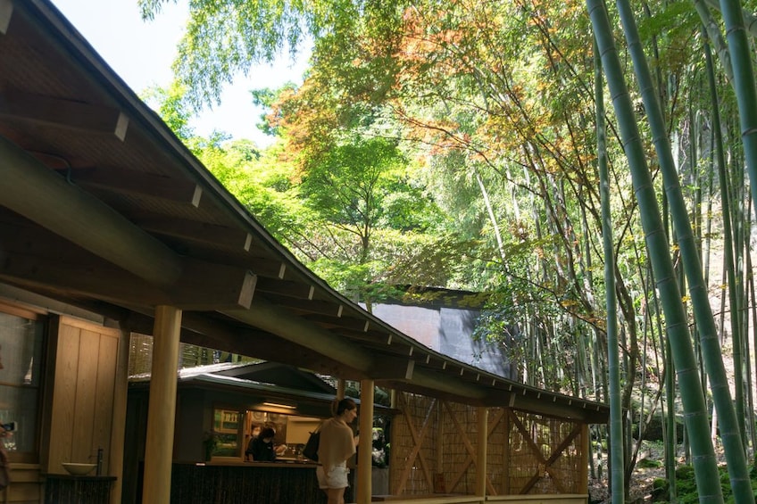 Show item 2 of 6. 9-hour Kamakura tour, from Tokyo to Hakone with private car