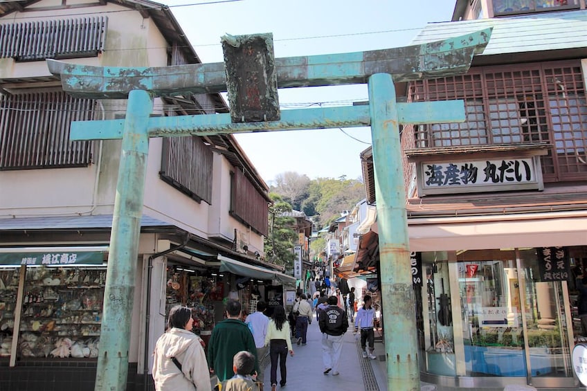 Show item 5 of 6. 9-hour Kamakura tour, from Tokyo to Hakone with private car