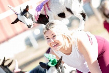 Goat and Alpaca Yoga in Arizona